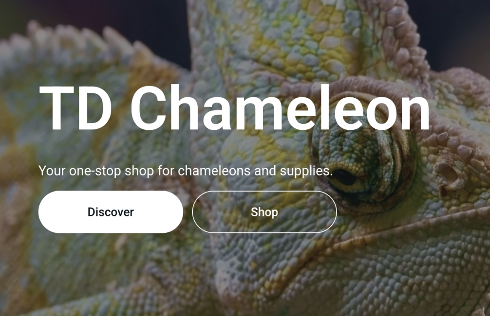 TD Chameleon E-Commerce Platform Design